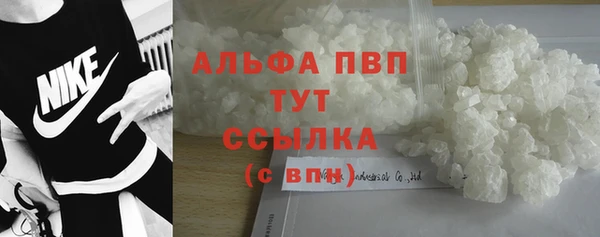 apvp Краснослободск