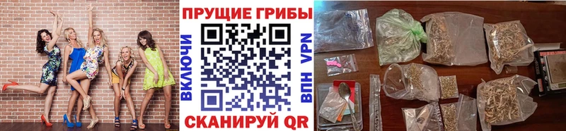 Псилоцибиновые грибы Magic Shrooms  Купить  Болхов 