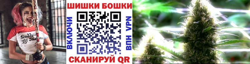 Купить закладки  Болхов  Бошки марихуана сатива 